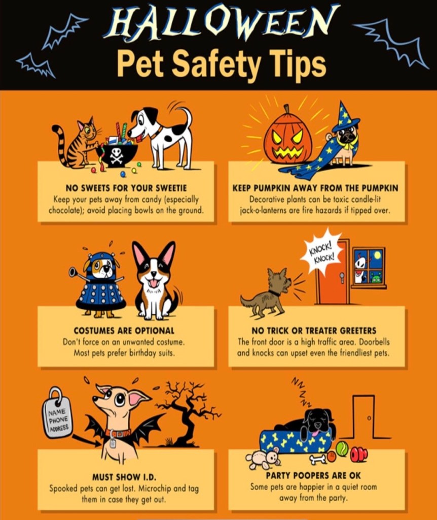 \"animal-safety-halloween-tips\"